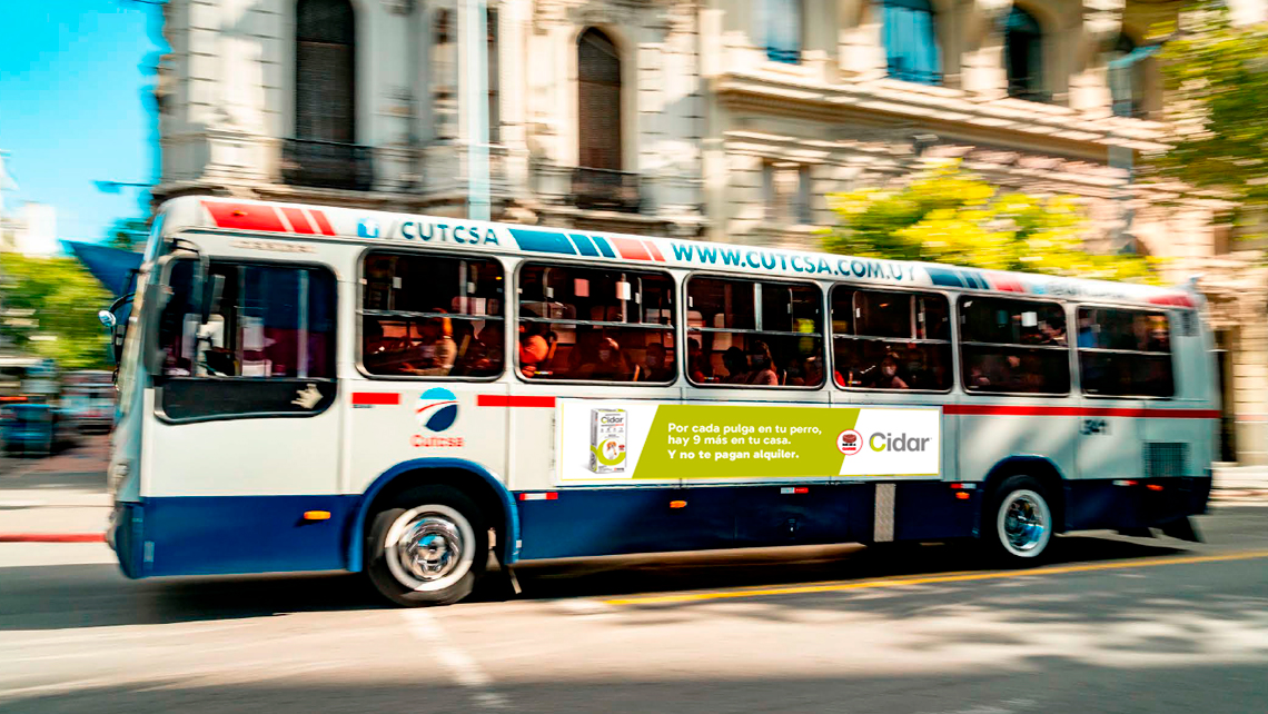 Imagen de portfolio